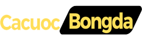 Cá cược bóng đá trực tuyến uy tín