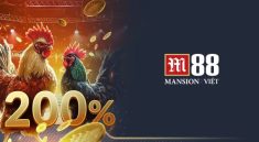 M88 – Nền tảng cược đá gà trực tuyến hàng đầu
